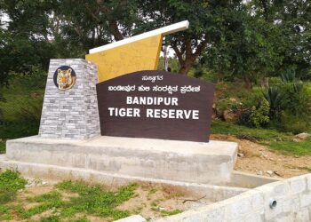 ಬಂಡೀಪುರ ಅರಣ್ಯದಲ್ಲಿ ಜಿಂಕೆಗೆ ತಿಂಡಿ ತಿನ್ನಿಸಿದ ದಿಲ್ಲಿ ಪತ್ರಕರ್ತನಿಗೆ ದಂಡ ವಿಧಿಸಿದ ಅರಣ್ಯಾಧಿಕಾರಿಗಳು