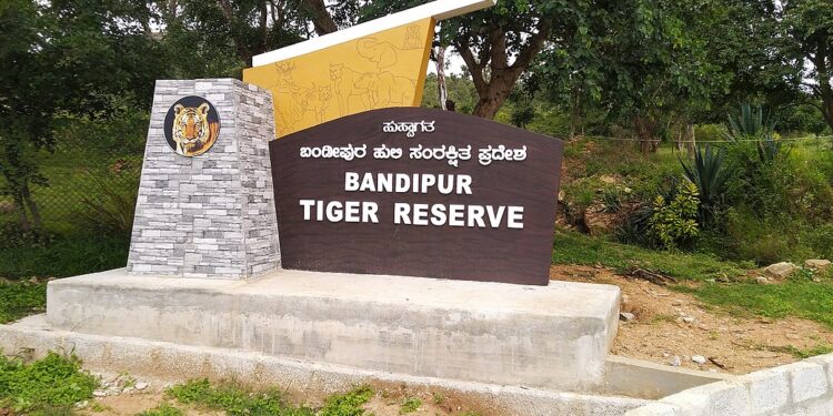 ಬಂಡೀಪುರ ಅರಣ್ಯದಲ್ಲಿ ಜಿಂಕೆಗೆ ತಿಂಡಿ ತಿನ್ನಿಸಿದ ದಿಲ್ಲಿ ಪತ್ರಕರ್ತನಿಗೆ ದಂಡ ವಿಧಿಸಿದ ಅರಣ್ಯಾಧಿಕಾರಿಗಳು