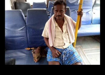 ksrtc ಬಸ್ಸಿನಲ್ಲಿ ಕೋಳಿಗೂ ಟಿಕೆಟ್!