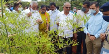 ಬರಪೀಡಿತ ಚಿಕ್ಕಬಳ್ಳಾಪುರ ಜಿಲ್ಲೆಯಲ್ಲಿ ಅರಣ್ಯೀಕರಣ ಹೆಚ್ಚಿಸಲು ಅಧಿಕಾರಿಗಳಿಗೆ ತಾಕೀತು ಮಾಡಿದ ಸಚಿವ ಉಮೇಶ್ ಕತ್ತಿ