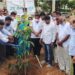 ವನಮಹೋತ್ಸವ ನಿತ್ಯೋತ್ಸವ ಆಗಲಿ ಎಂದ ಶಾಸಕ ಎಸ್‌ಎನ್‌ಎಸ್‌