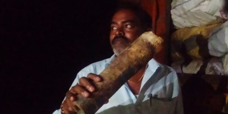 ಕರ್ನಾಟಕ-ಆಂಧ್ರ ಗಡಿಯಲ್ಲಿ ಅವ್ಯಾಹತ ಗೋ ಹತ್ಯೆ?