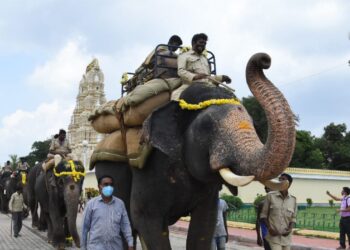 ಕ್ಯಾಪ್ಟನ್ ಅಭಿಮನ್ಯು ಗಜಪಡೆಗೆ ಭಾರ ಹೊರಿಸಿ ತಾಲೀಮು