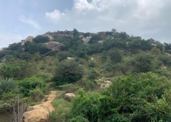 ಗುಡಿಬಂಡೆ ಅರಣ್ಯದ 284 ಎಕರೆ ನುಂಗಿದ ಗೌರಿಬಿದನೂರು ಕಂದಾಯ ಇಲಾಖೆ