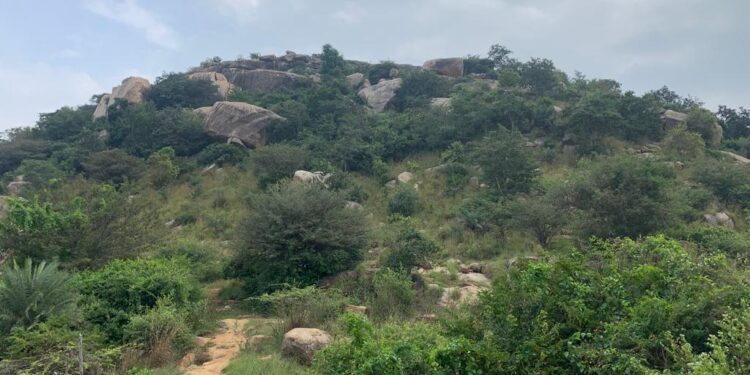 ಗುಡಿಬಂಡೆ ಅರಣ್ಯದ 284 ಎಕರೆ ನುಂಗಿದ ಗೌರಿಬಿದನೂರು ಕಂದಾಯ ಇಲಾಖೆ