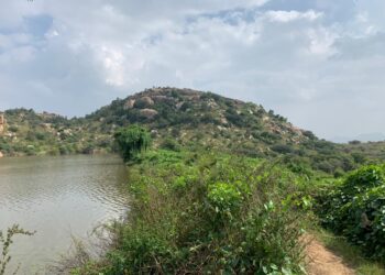 ಗುಡಿಬಂಡೆ ಅರಣ್ಯದ 284 ಎಕರೆ ನುಂಗಿದ ಗೌರಿಬಿದನೂರು ಕಂದಾಯ ಇಲಾಖೆ