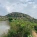 ಗುಡಿಬಂಡೆ ಅರಣ್ಯದ 284 ಎಕರೆ ನುಂಗಿದ ಗೌರಿಬಿದನೂರು ಕಂದಾಯ ಇಲಾಖೆ