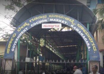 1043 ರೂ.ಗೆ ಒಂದು ಕೆಜಿ ರೇಷ್ಮೆಗೂಡು ಮಾರಾಟ