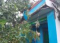 ಗುಡಿಬಂಡೆಯಲ್ಲಿ ಆಲಿಕಲ್ಲು ಅಬ್ಬರ; ಬೆಳೆ ಪರಿಹಾರಕ್ಕೆ ರೈತರ ಆಗ್ರಹ