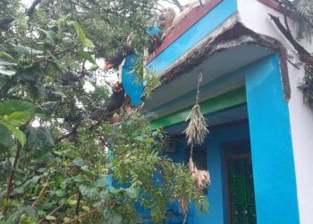 ಗುಡಿಬಂಡೆಯಲ್ಲಿ ಆಲಿಕಲ್ಲು ಅಬ್ಬರ; ಬೆಳೆ ಪರಿಹಾರಕ್ಕೆ ರೈತರ ಆಗ್ರಹ