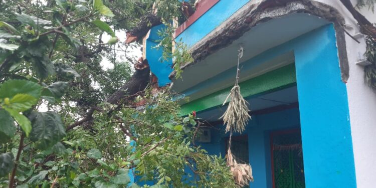 ಗುಡಿಬಂಡೆಯಲ್ಲಿ ಆಲಿಕಲ್ಲು ಅಬ್ಬರ; ಬೆಳೆ ಪರಿಹಾರಕ್ಕೆ ರೈತರ ಆಗ್ರಹ