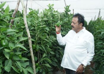 ಬರ ಅಧ್ಯಯನ: ರಾಜ್ಯಕ್ಕೆ ಕೇಂದ್ರದ 3 ತಂಡ