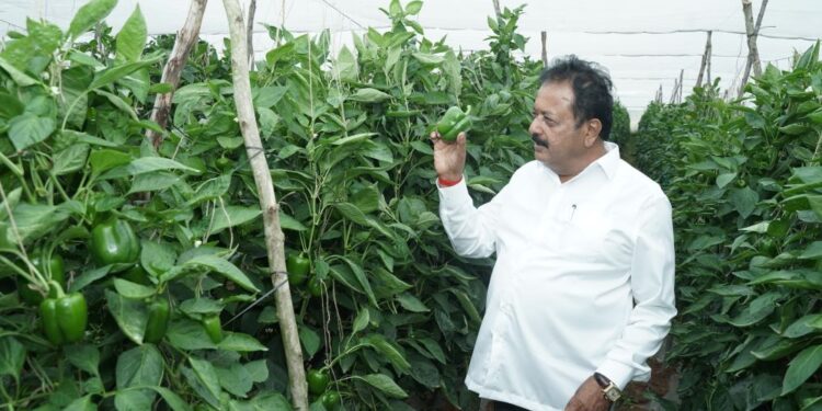ಬರ ಅಧ್ಯಯನ: ರಾಜ್ಯಕ್ಕೆ ಕೇಂದ್ರದ 3 ತಂಡ