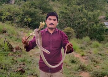 ಹಾವುಗಳ ಆಪ್ತರಕ್ಷಕ