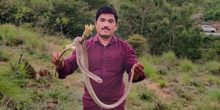 ಹಾವುಗಳ ಆಪ್ತರಕ್ಷಕ