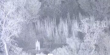 ಸಾಂಬಾದಲ್ಲಿ ಜೈಶ್‌ನ 7 ಉಗ್ರರ ಹತ್ಯೆ