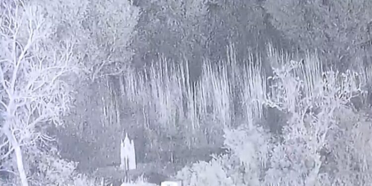 ಸಾಂಬಾದಲ್ಲಿ ಜೈಶ್‌ನ 7 ಉಗ್ರರ ಹತ್ಯೆ